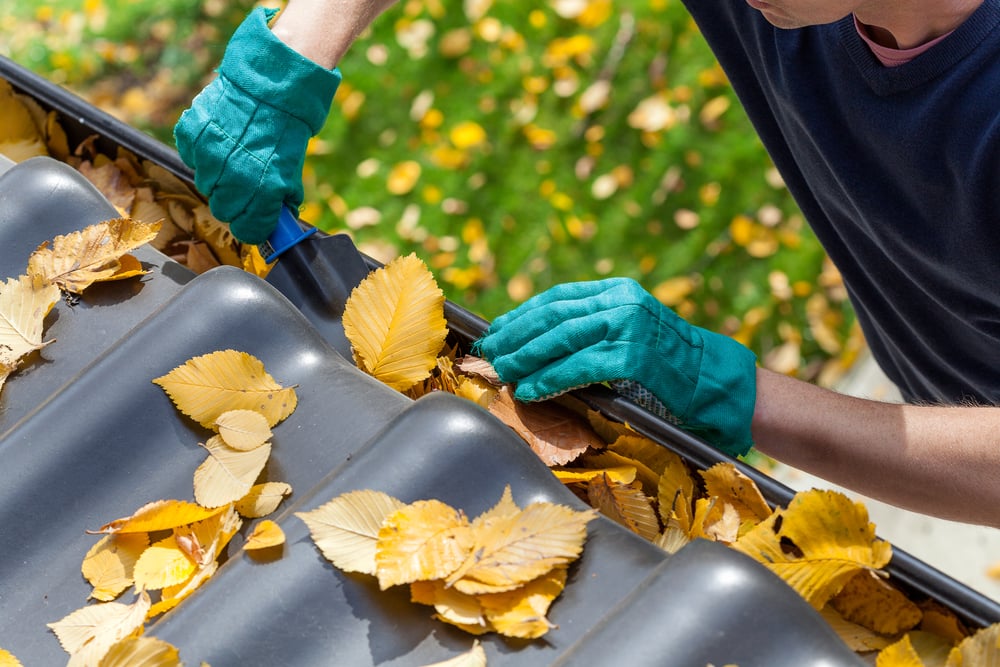 Man cleaning the gutter from autumn leaves